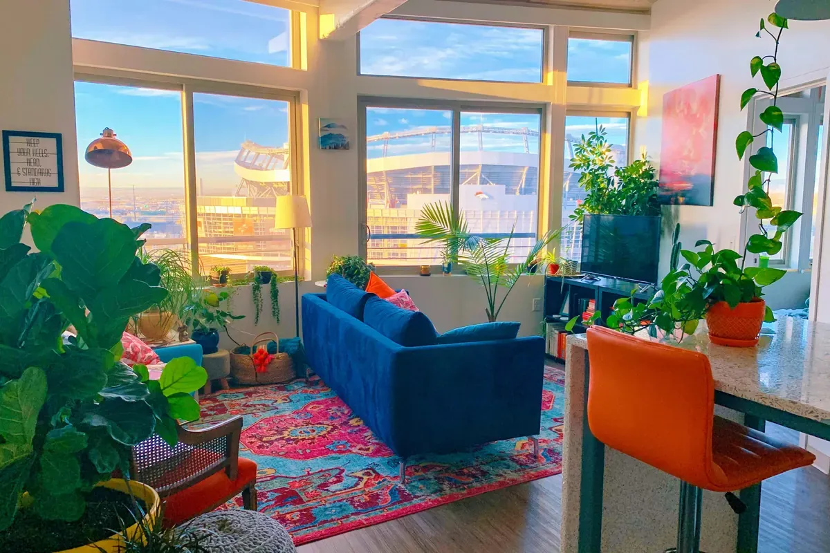 A sunlit apartment living room with a blue sofa, television, rug, and houseplants.